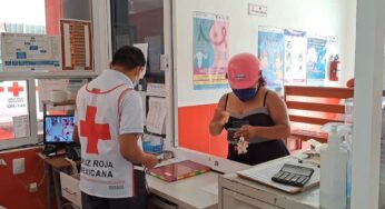 Lleva la Cruz Roja casi 30 servicios relacionados con perros